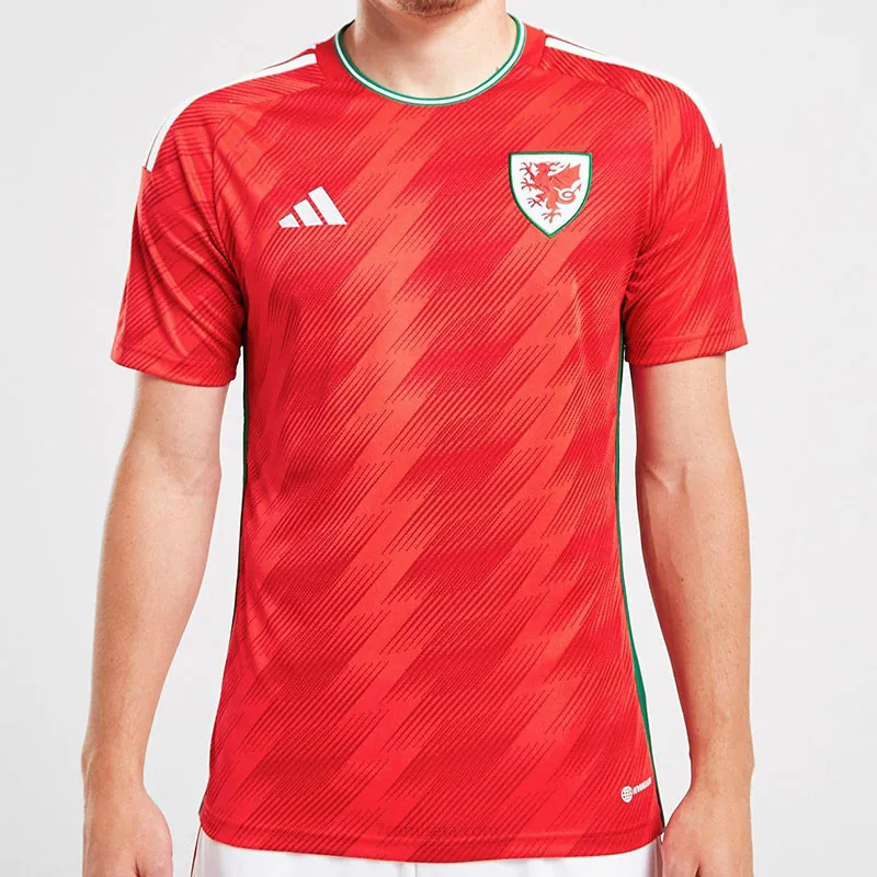 Camiseta GALES Primera Equipación Mundial Qatar 2022 ¡¡Qué saldo, atrapa!
