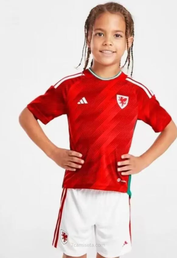 Camiseta GALES Primera Equipación Mundial Qatar 2022 Niño Brutal precio, dispara sin intermediarios