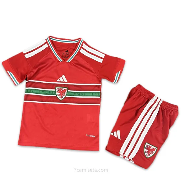Niños Gales Camiseta de la 1ª Equipación 2026-2027 Descuentazo, dispara