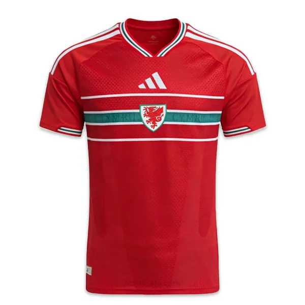 Gales Camiseta de la 1ª Equipación 2026-2027 Versión Jugador ¡¡Menudo/a chollo, aprovéchalo!