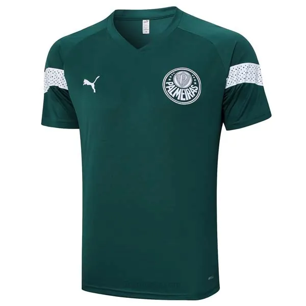 Camiseta Entrenamiento Palmeiras 2023/24 Verde Atrapa sin intermediarios