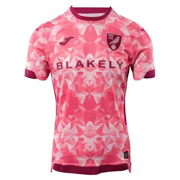 Camiseta Norwich City Replica Segunda Ropa 2025/26 Preciaso irrisorio por tiempo limitado