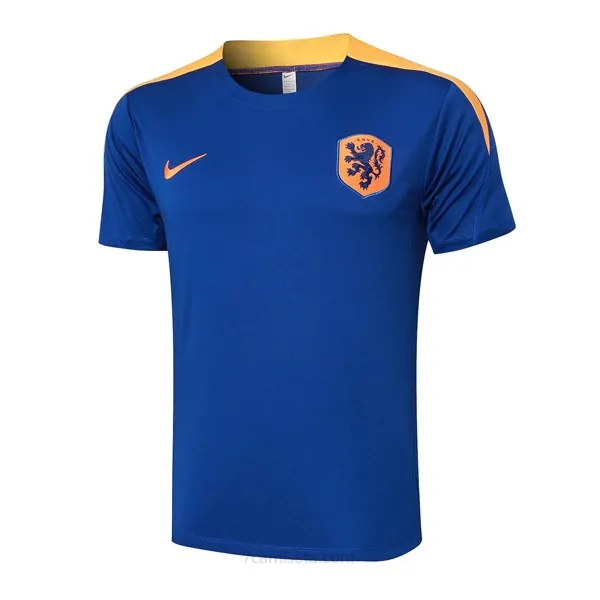 Camiseta Entrenamiento Países Bajos 2024/25 Azul 2 Asequible ahorro, pide ahora sin competencia