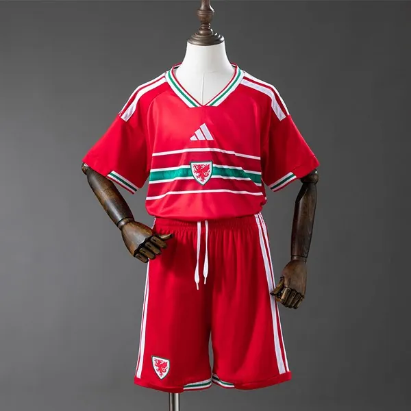 Camiseta Gales Replica Primera Ropa Niño 2026 Amigo oportunidad, pide ahora más barato que nunca